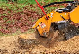 Tree and Shrub Care in Lake Don Pedro, CA